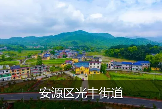 安源区光丰街道