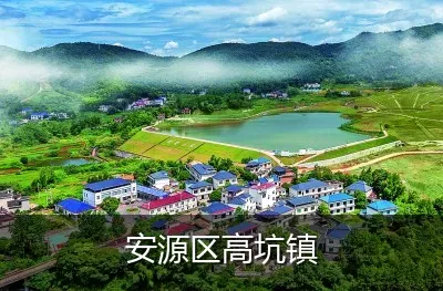 安源区高坑镇
