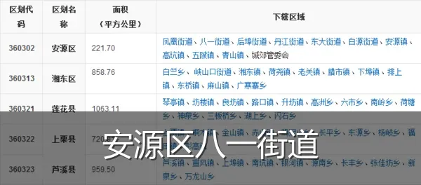 安源区八一街道